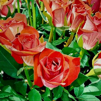 Iberflora 5